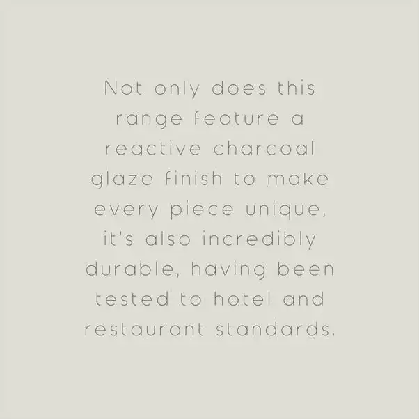 The Edited Life Urban Dinner Charcoal Plate 5 The Edited Life Urban Dinner Charcoal Plate - Image 3