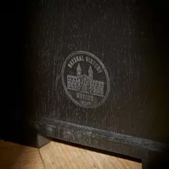 Natural History Museum Small Slim Display Cabinet -Dune Sales Store 30754174 alt04