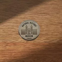 Natural History Museum Small Glazed Display Cabinet -Dune Sales Store 30756116 alt03