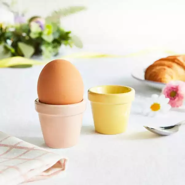 Dunelm Set Of 2 Plant Pot Egg Cups 3 Dunelm Set Of 2 Plant Pot Egg Cups