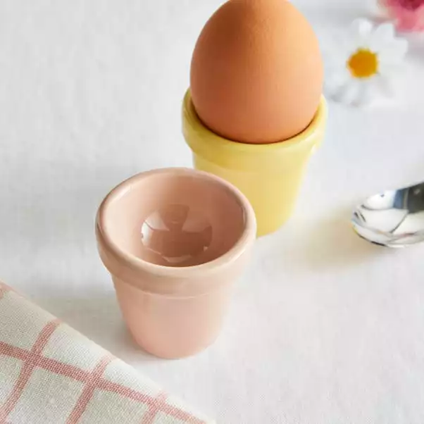 Dunelm Set Of 2 Plant Pot Egg Cups 4 Dunelm Set Of 2 Plant Pot Egg Cups - Image 2